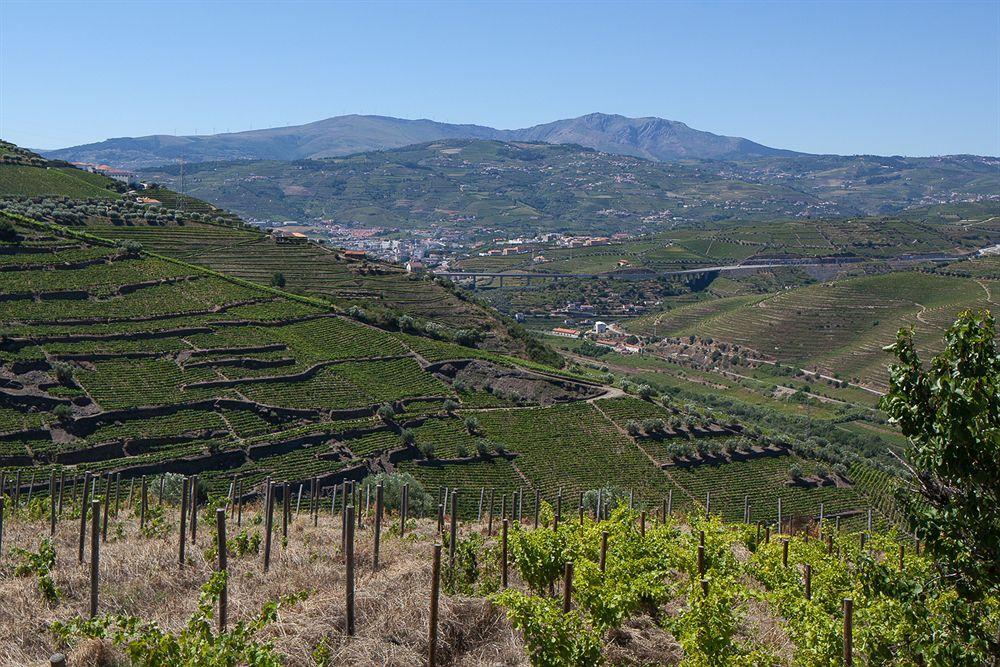 Quinta De Casaldronho Wine Hotel Lamego Exterior photo